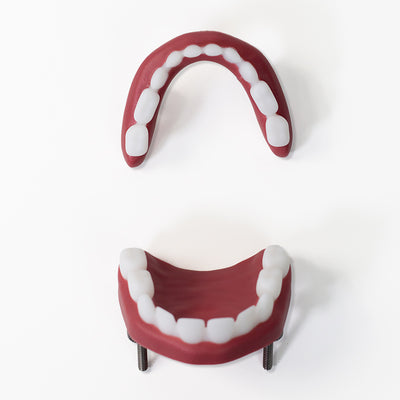 Replaceable Teeth Set for AirwayChild
