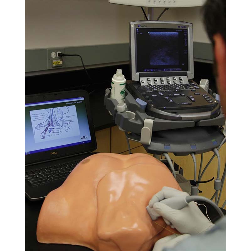 Valkyrie Simulators on LinkedIn: Regional Anesthesia Nerve Block Simulator  Ultrasound Scan
