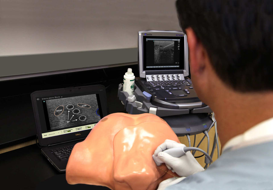 Regional Anesthesia Trainers – Simulab Corporation