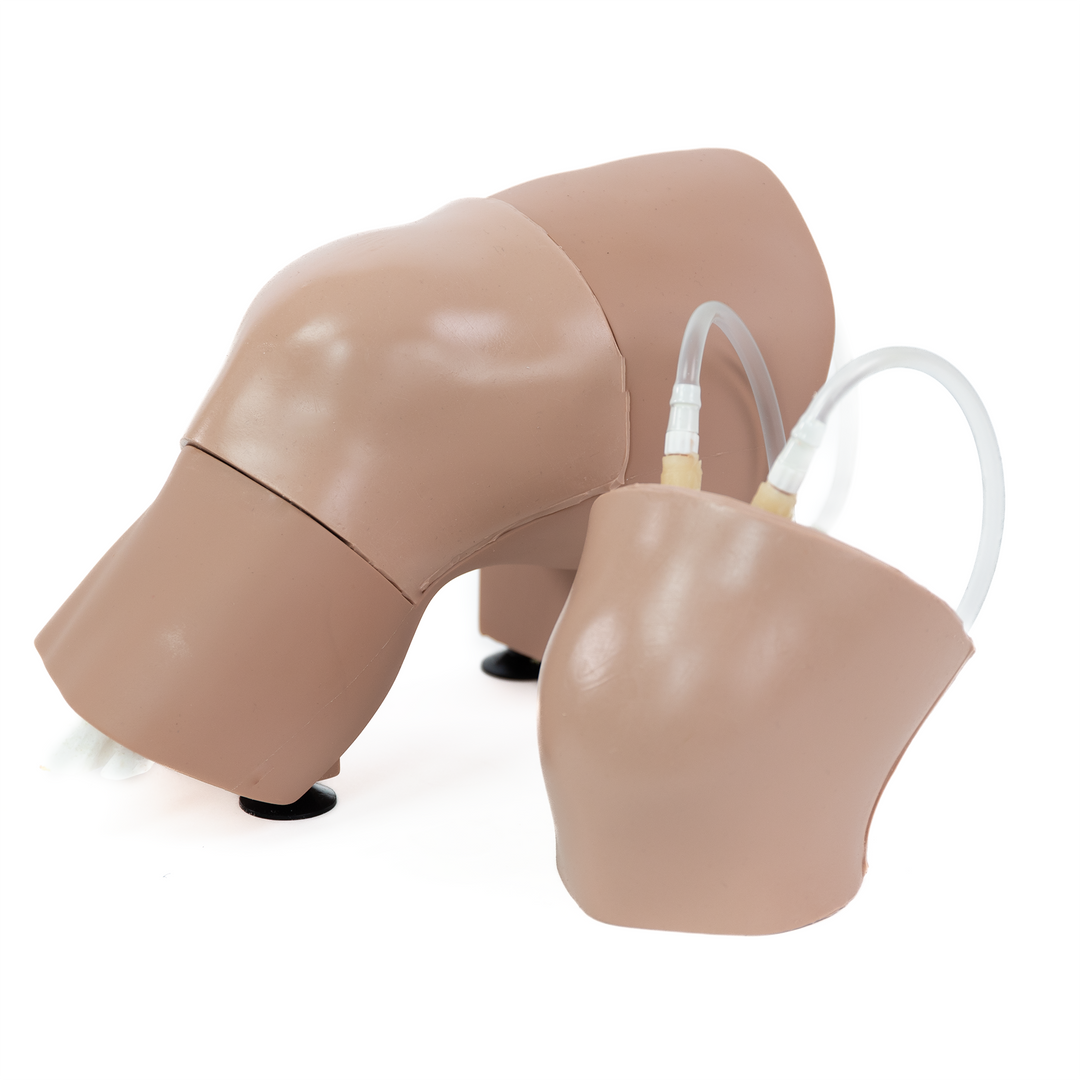 Arthrocentesis Training Package – Simulab Corporation