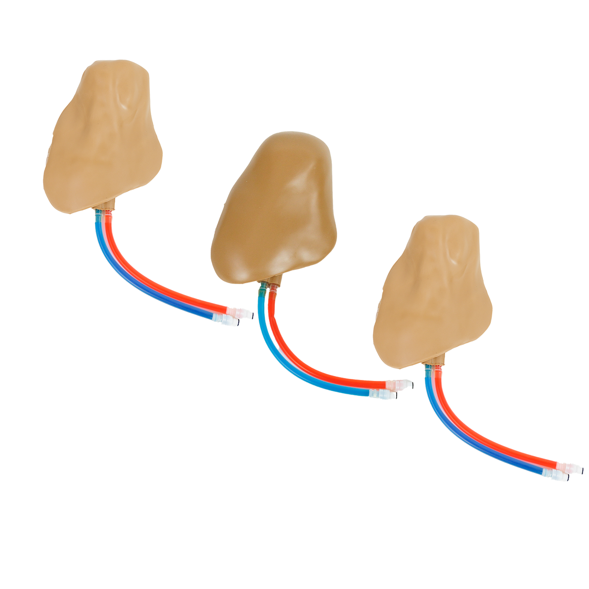 Central Line Man System Tissue Pack – Simulab Corporation