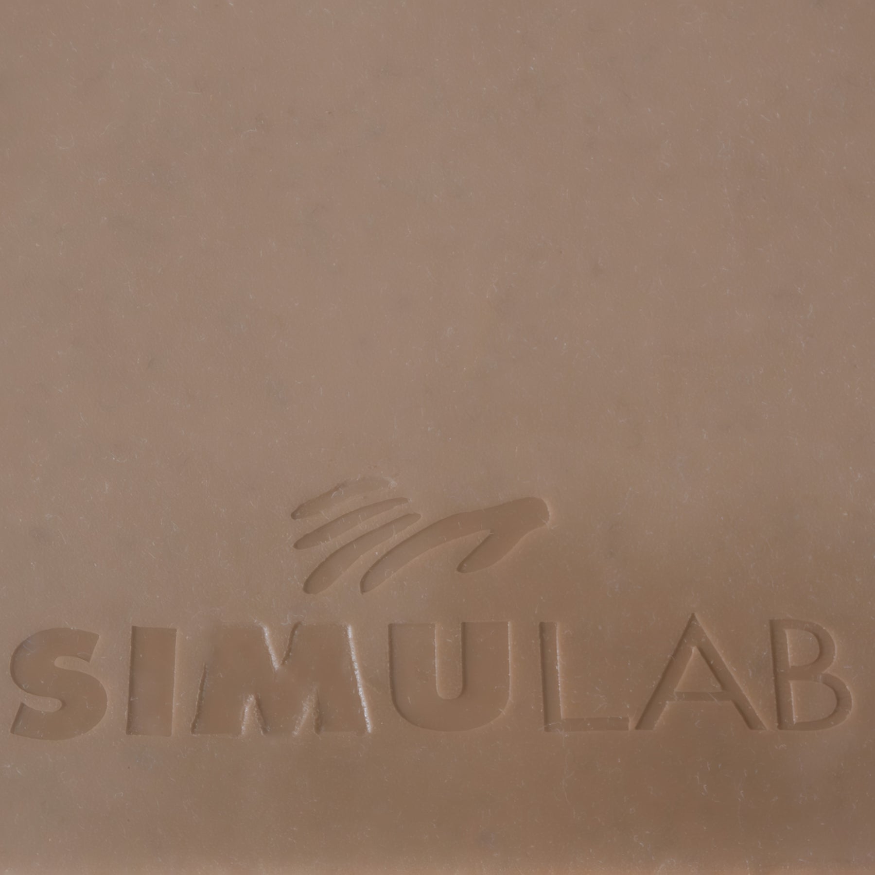 Articulating Head – Simulab Corporation