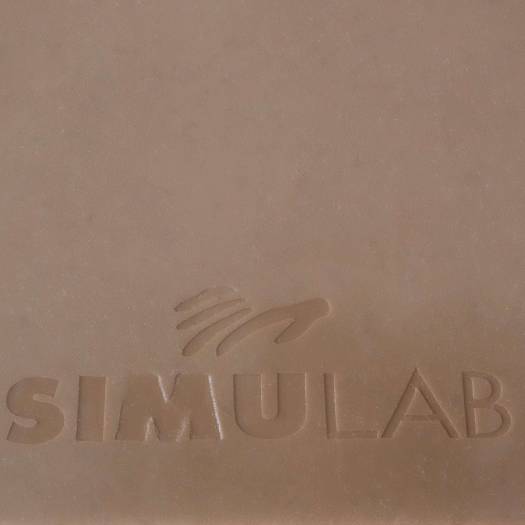 Lumbar Epidural Trainer Simulab Corporation
