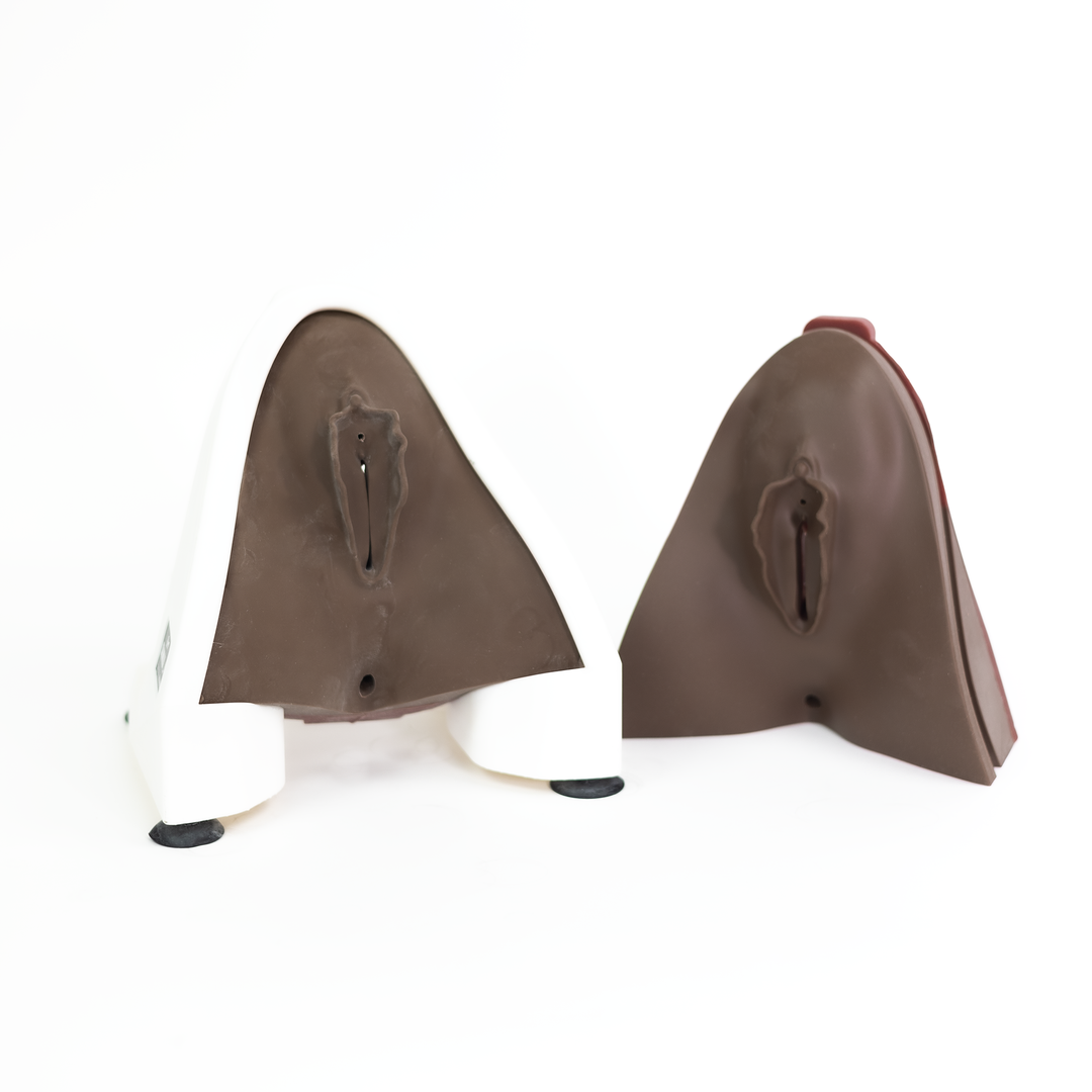 Perineal Repair Training Package – Simulab Corporation