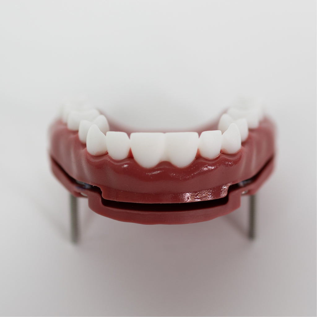 AirwayMan Clicking Teeth Set
