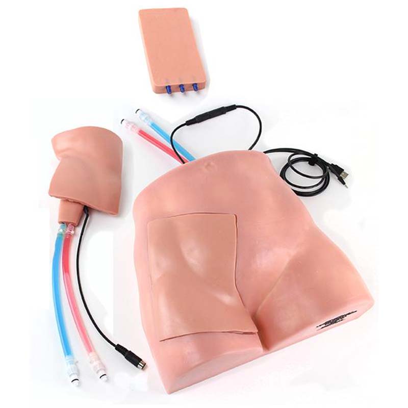 Regional Anesthesia Femoral Trainer – Simulab Corporation