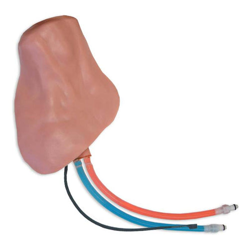 Regional Anesthesia & Vascular Access Trainer – Simulab Corporation