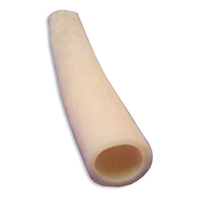 Large Intestine Tissue – Simulab Corporation