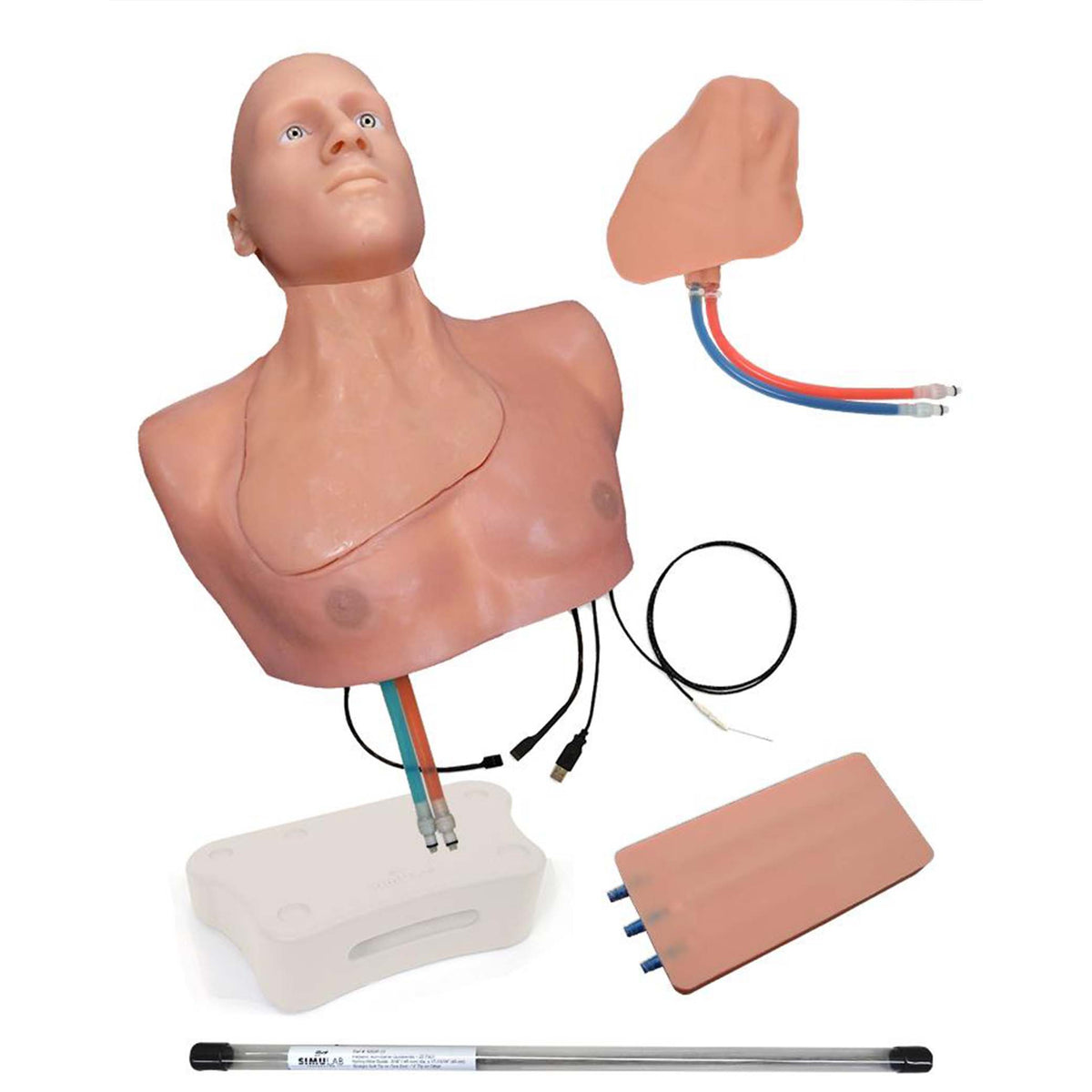 SmarTissue Regional Anesthesia and Vascular Access Training Package with  Articulating Head