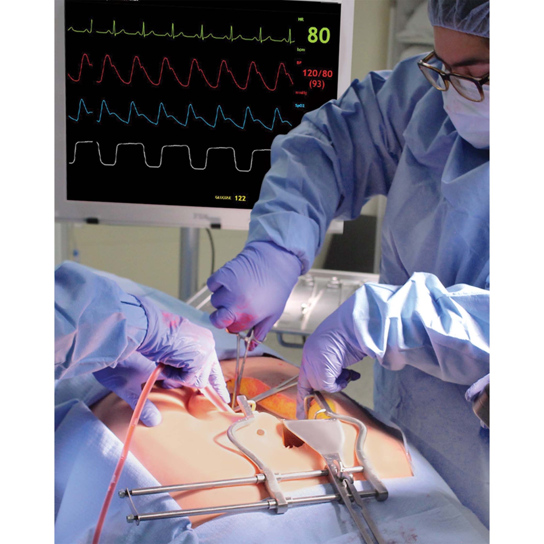 Universal Surgical Abdomen System – Simulab Corporation