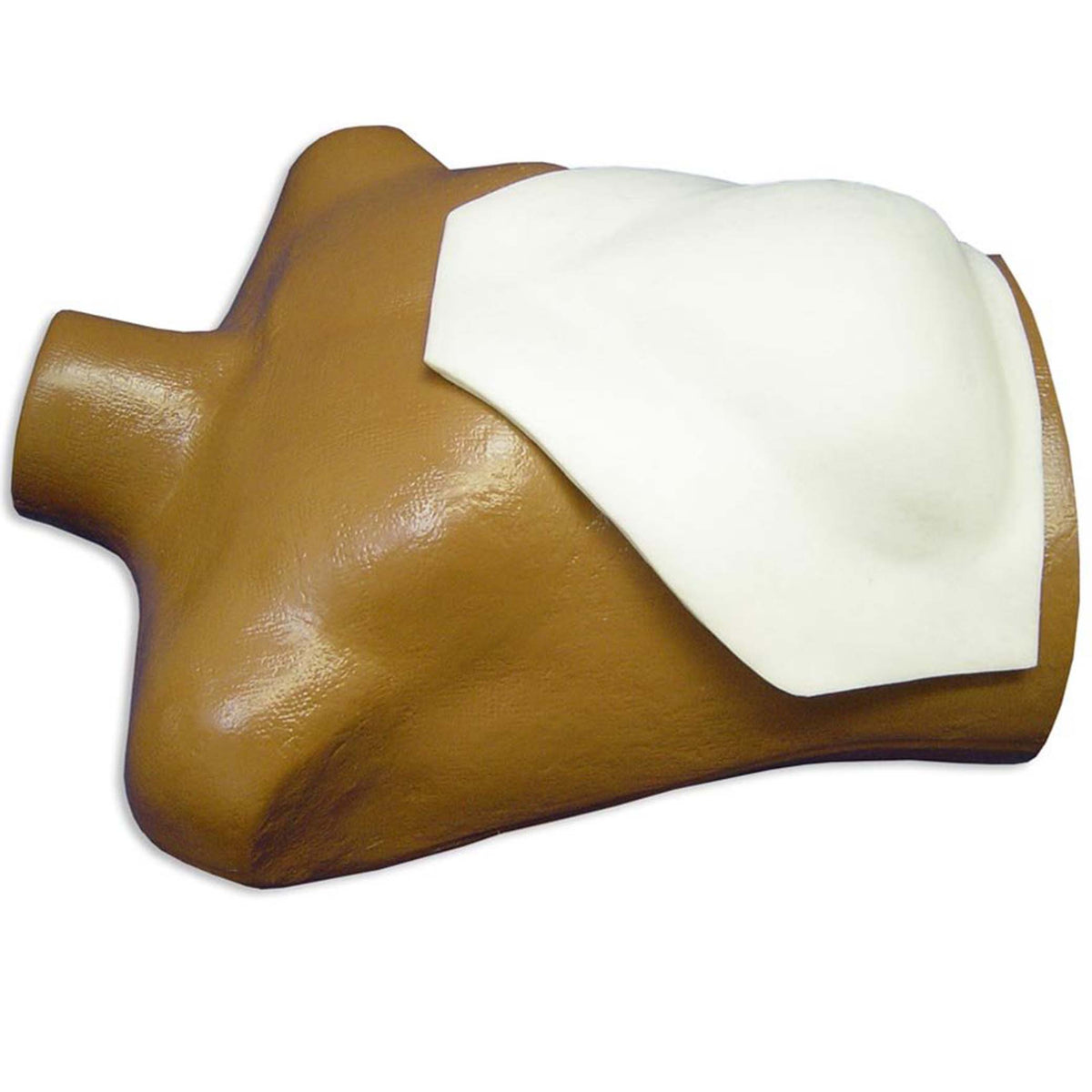 Torso Trainer – Simulab Corporation