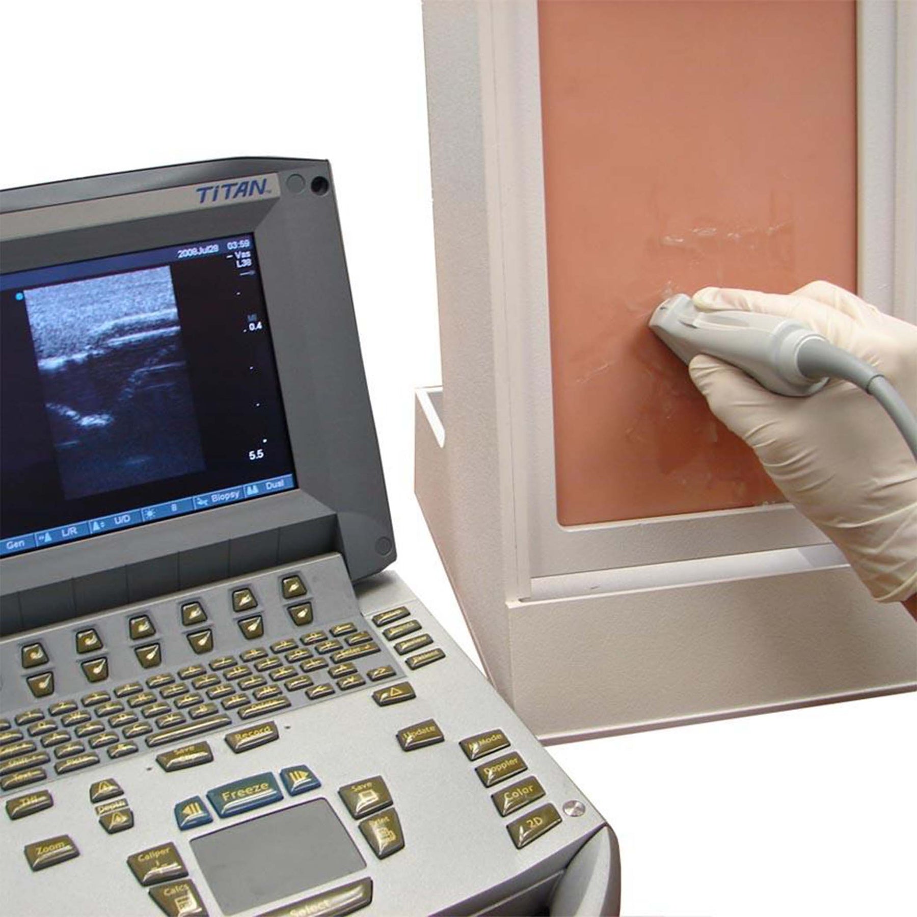 Ultrasound Thoracentesis Tissue Simulab Corporation