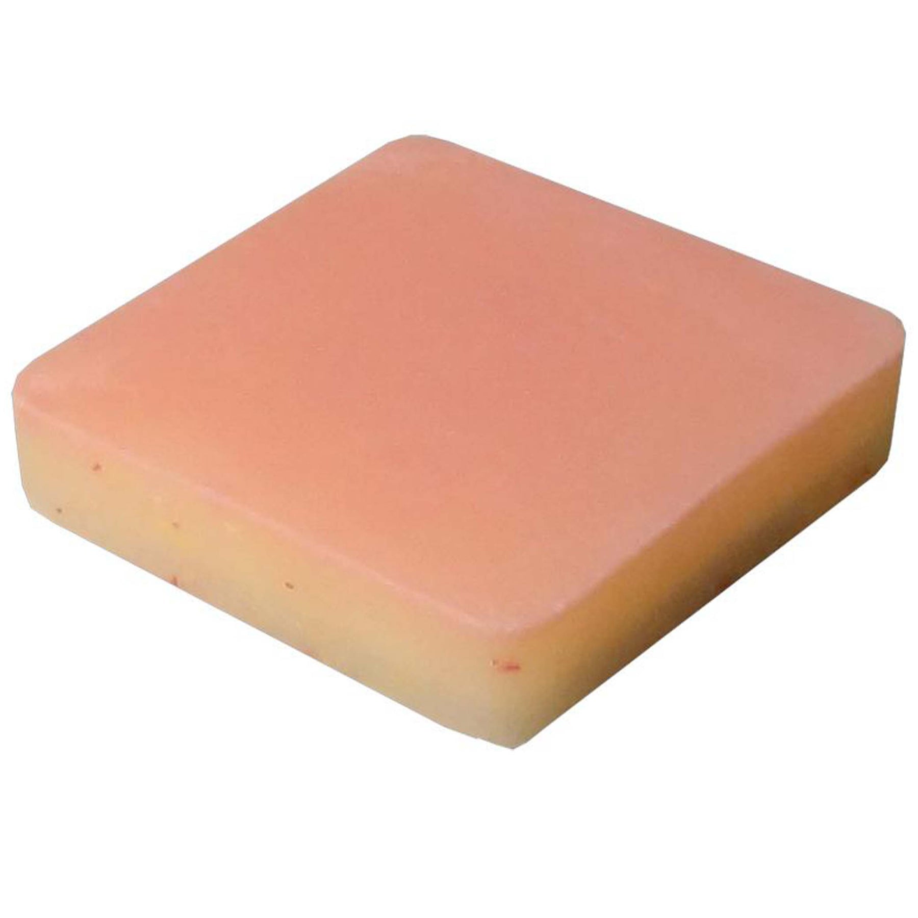 Complex Tissue Model – Simulab Corporation